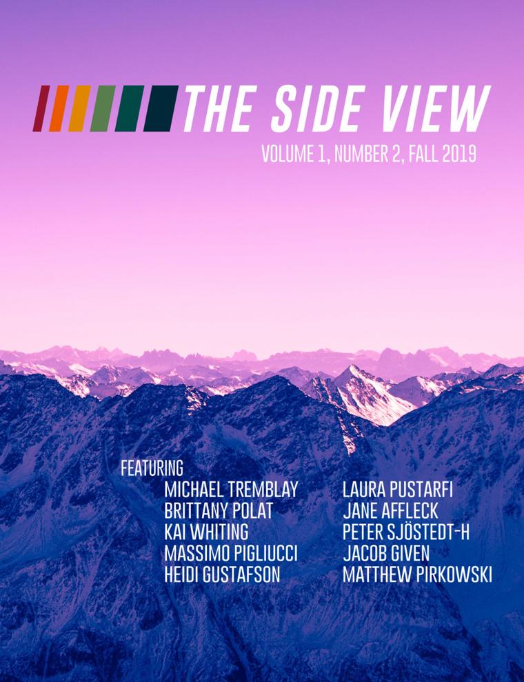 TSV Journal Vol. 1 No. 2 cover